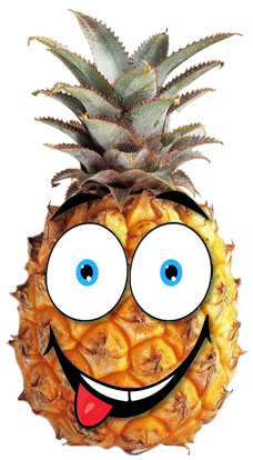 If pineapples could speak …