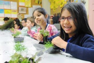 A student adds a polka dot plant to her minature garden.