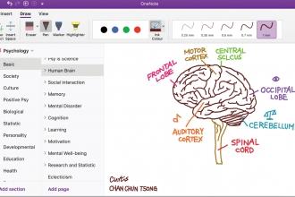 Microsoft OneNote provides students with a digital means of documenting what they learn. 