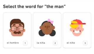 Duolingo courses use a gaming structure with the threat of losing “lives” with m
