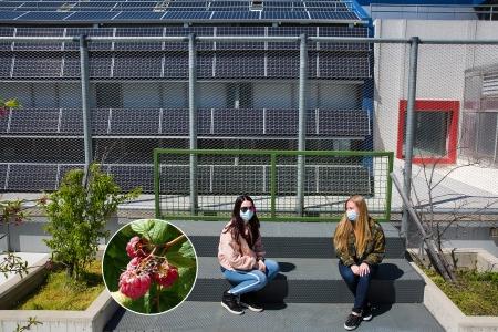 UFT delegate Teresa Fabbella (left) and Chapter Leader Annemarie Summa Barbarino sit in the school’s garden, where raspberries (inset) are among the edible plants that grow.