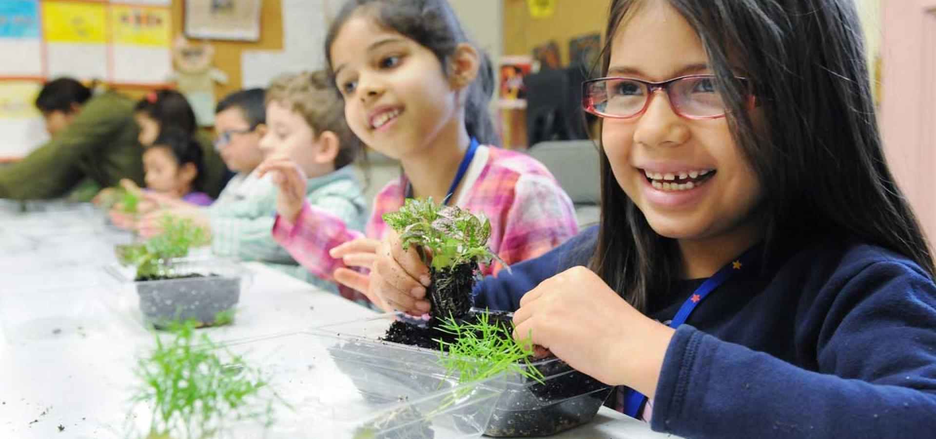 A student adds a polka dot plant to her minature garden.