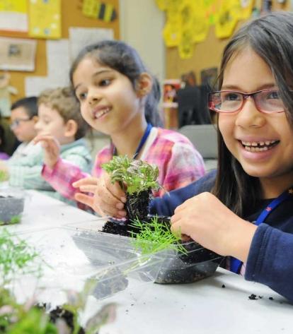 A student adds a polka dot plant to her minature garden.