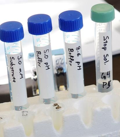 Results of students’ lab work are stored in test tubes.