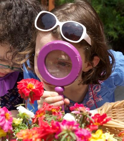 Luisa Jane and Chloe study flowers before they draw them.