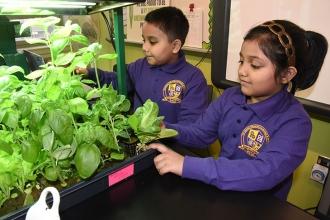 Two students and members of the greenhouse “leader squad” tend a healthy tray of