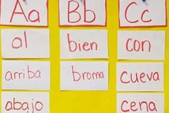 The new state regulations elevate transitional-bilingual and dual-language instr