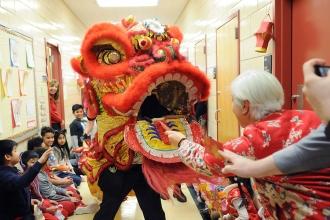 Staff members feed the lion as it makes its way through the halls at PS 129 in C