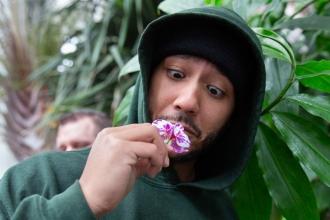 Good old-fashioned fun