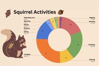 Linking to Learning Dec. 2023 - squirrel data pie chart 