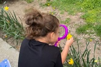 Students observe a plant