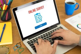 Online survey