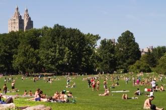 Central Park great lawn summer generic