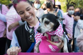 Making Strides Against Breast Cancer walks 2021