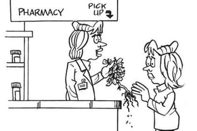 A cartoon illustration of a pharmacist handing a woman what looks to be dug up plants because she can't afford her medication. 