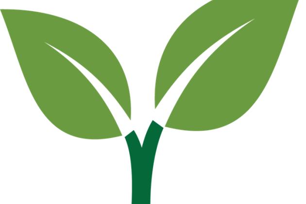 leaves icon small