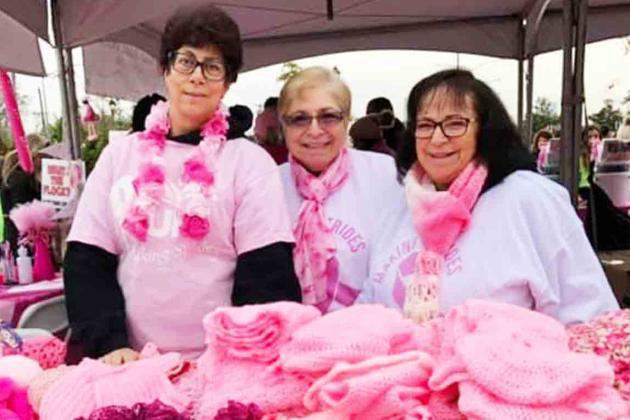 Strides Against Breast walk 2019