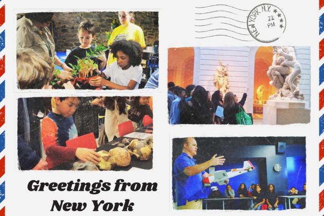 Trips provide a real-world education