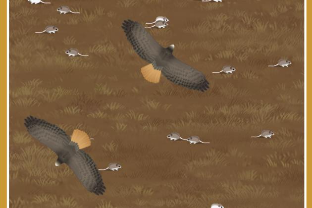Linking to Learning simulations Apr 2024