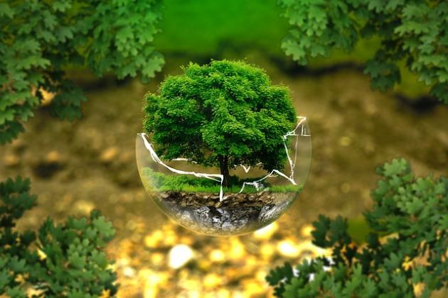 earth day environment generic