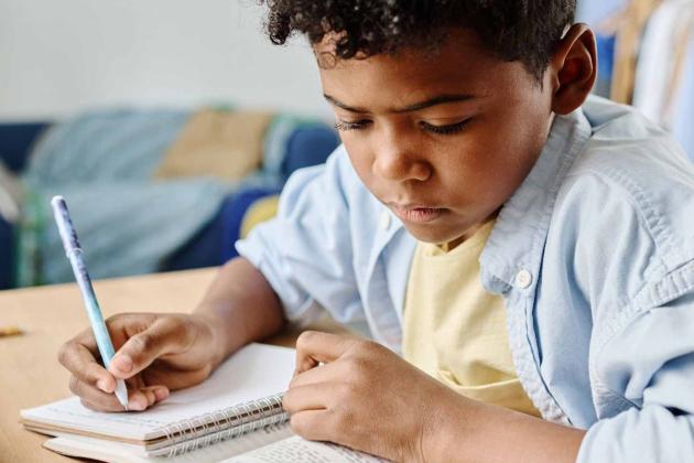 Boy doing homework
