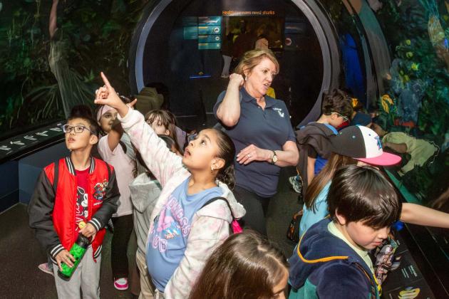 Third-graders are enthralled as they walk with Collins through a 40-foot tunnel