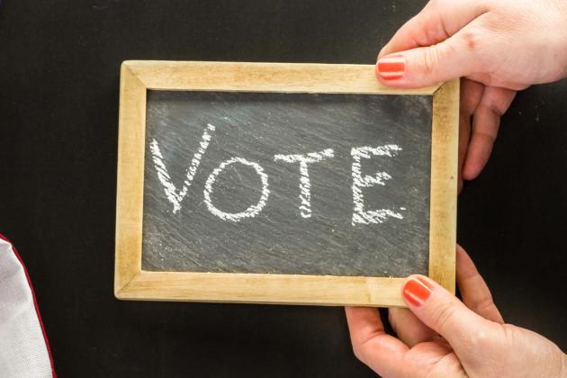 Primary Day Vote