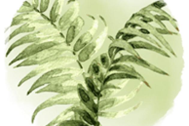 MAP icon 2022