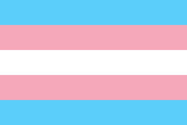 An image of the transgender pride flag, which is a symbol of transgender rights and diversity. It features light blue, light pink, and white stripes. 