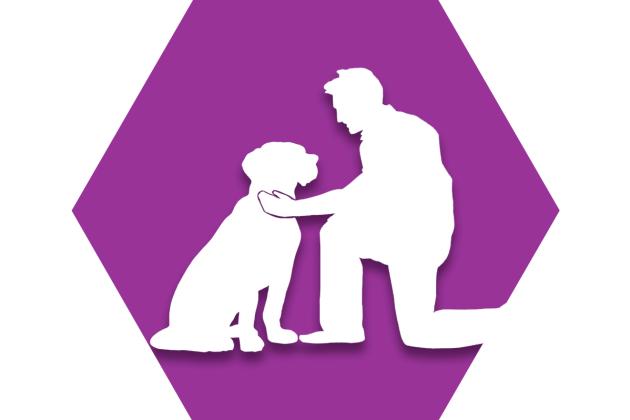 Hexagon with purple background and symbol of adult petting dog