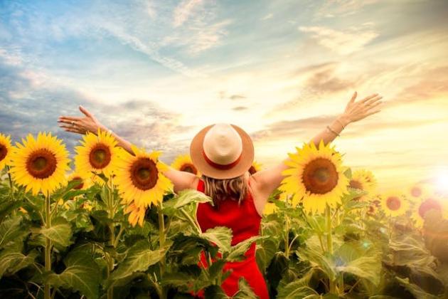 wellness finding joy generic 