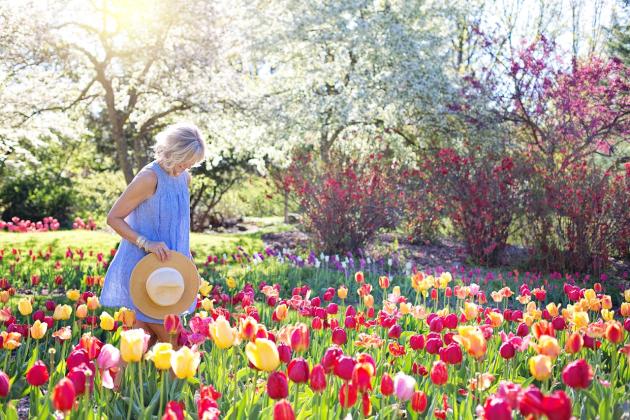 woman tulips spring