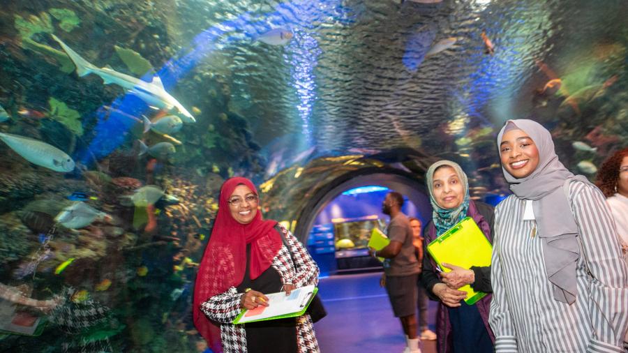 Three women visiting an aquarium.