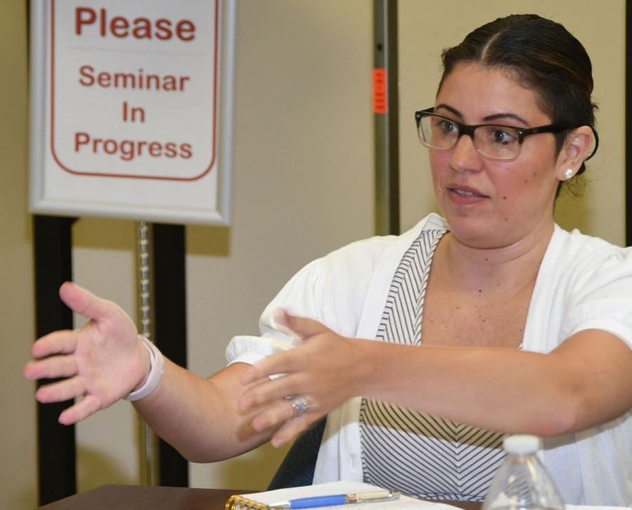 Elise Murphy makes a point during a recent meeting.