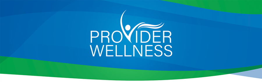 Provider Wellness hero image (full)