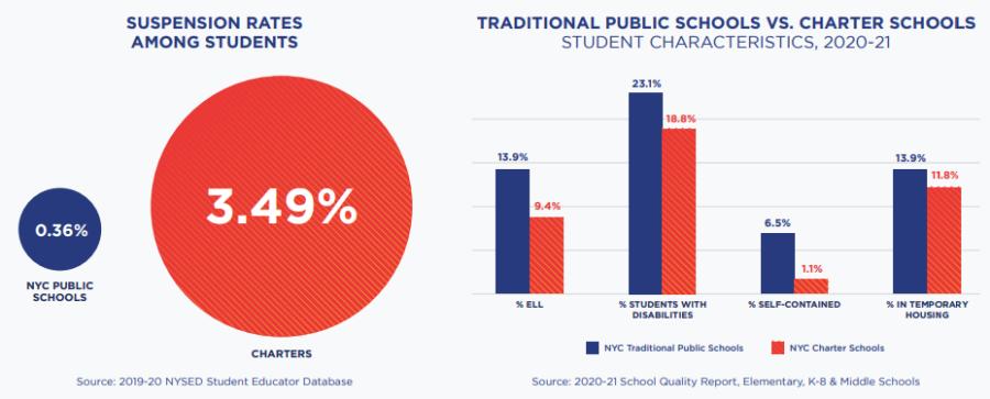 Charter school graphics - charts comparing student characteristics