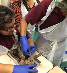 Karen Huurman, a science teacher at MS 136 in Sunset Park, Brooklyn, purchased f