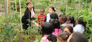 Pre-K teacher Patricia Dobosz talks with her students about what they see growin