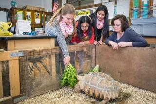 Fiume (right) looks on as a 6th-grader serves the tortoise's breakfast.