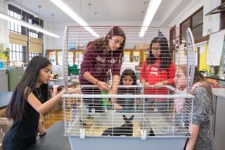 The early-morning caretakers finish up inspection of one of the rabbit cages.