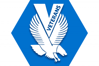 Blue hexagon with symbol of flying eagle and V with text "veterans" inside it