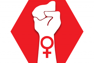 Red hexagon with symbol of a raised arm and the symbol for women