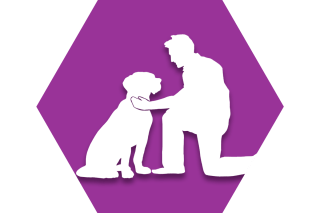 Hexagon with purple background and symbol of adult petting dog