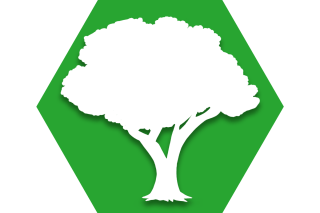 Hexagon with green background and symbol of tree representing UFT Outdoors Committee