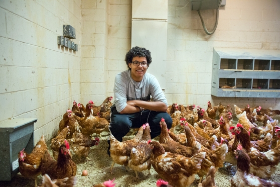 Senior David Rodriguez checks in on Bowne’s 225 chickens.