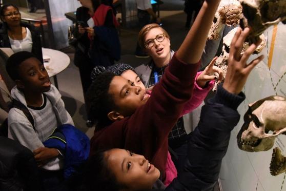 Sackler Lab educator Kinley Russell shares our evolutionary fossil tree with stu