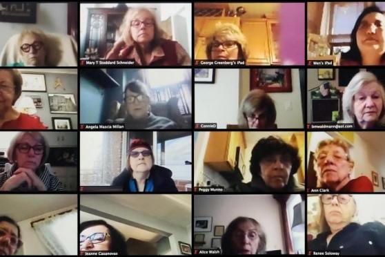 A zoom screenshot of RTC members 