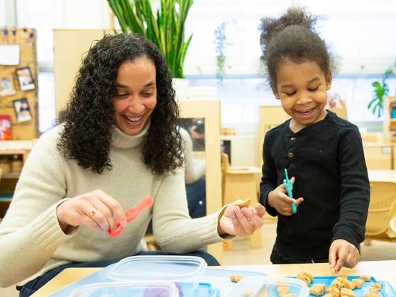 Building their brains