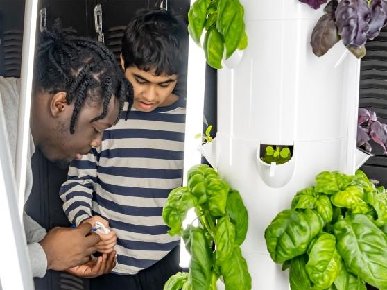 Couldnt do it without them