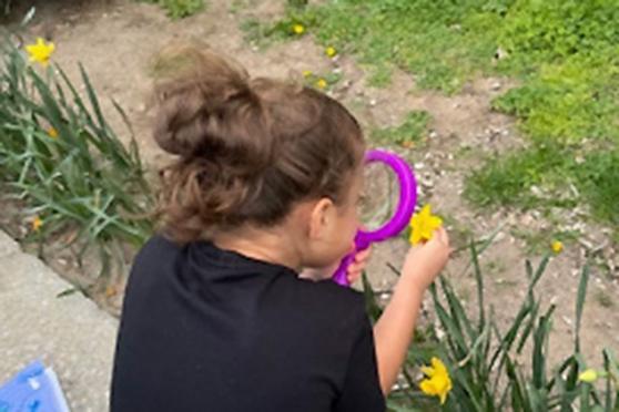 Students observe a plant